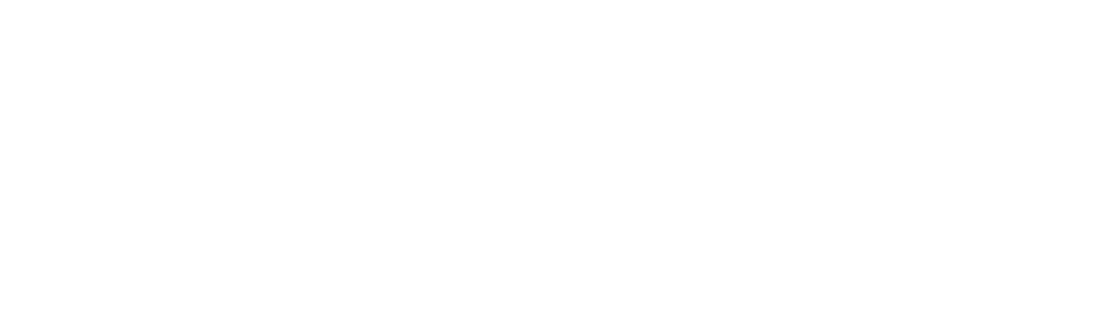 Partnership Logo Holdings True White